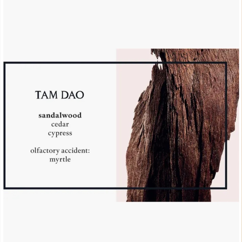 Diptyque Tam Dao 10ml travel spray - Picture 2 of 11